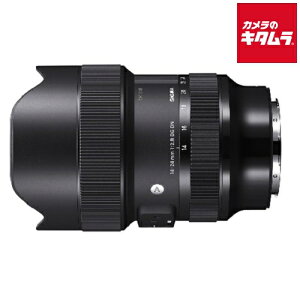 VO} 14-24mm F2.8 DG DN Art \j[Ep \j[FE}Eg ~[X AF LpY[ Y Y@JY s[t