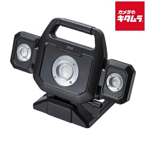 �T�����T�v���C LED-FL1BK ���P�xLED������i�[�d���j