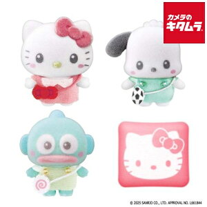 o_C ՂƂ Sanrio characters n[LeB|`bRnMh