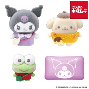 o_C ՂƂ Sanrio characters N~||v낯낯