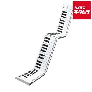 TAHORNGi^z[j 88 ܂肽ݎdqsAm/MIDIL[{[h ORIPIA88 s[2Tԁt