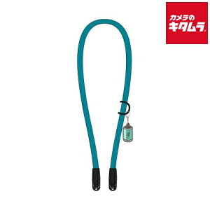 ~N×J̃L^ IWiJXgbv ~N s2026N2{ȍ~oח\t