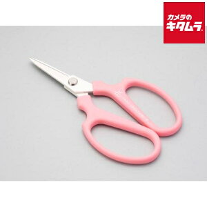 ⌹ Ԃ͂ ~jNG[V F sN Ep 10382