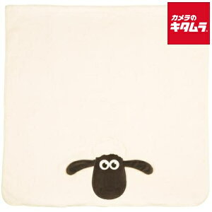 XP[^[ TODR1-71383 }CNt@Co[ oX^I Ђ̃V[