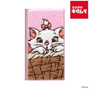 PGA PG-D24ACF04MAR NAtbvP[X(TKhJ) fBYj[}[iiPhone 16pj