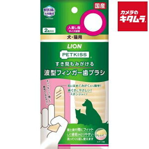 CIybg PETKISS Ԃ݂g^tBK[uV 2 s[2Tԁt