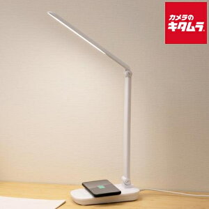 ACXI[} LEDfXNCgQi[dV[Y u^Cv  zCgLDL-QFD-W IRIS OYAMA [J[FX V Vv  s[1Tԁt