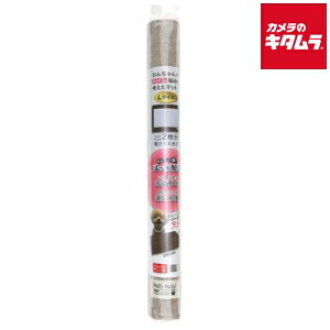 Tx ybgpi gC̉ɕ~}bg LTCY PT5809 AC{[