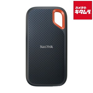 TfBXN SDSSDE61-500G-J25 GNXg[ |[^uSSD 500GB s[2|3Tԁt