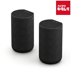 \j[ SONY Cl[uhXs[J[ obe[ CXAXs[J[ SA-RS5 s[1Tԁt