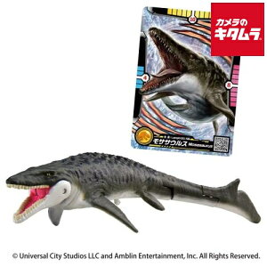 ^Jg~[ AjA WVbNE[h TTEX