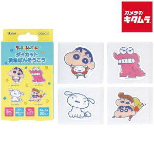 XP[^[ QQBD20-70483 _CJbgJnp N񂿂 20