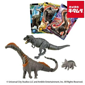 ^Jg~[ AjA WVbNE[h ̃eB^mTEX DXZbg