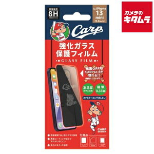 JPebN J[vfUCKXیtB kiPhone 13 minipl