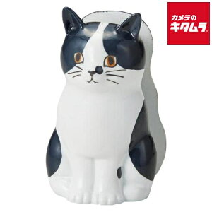 ZgNtg R24-1071 Xe[v[ n` s[4Tԁt