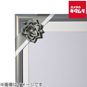 �t�W�J���[ �ё��z���p���{�� �O���[ �s�[����1�|2�T�ԁt