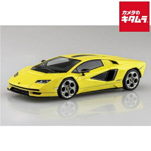 �A�I�V�} 19-C �U�E�X�i�b�v�L�b�g �����{���M�[�j �J�E���^�b�N LPI 800-4 �C�G���[ �s�[����1�|2�T�ԁt