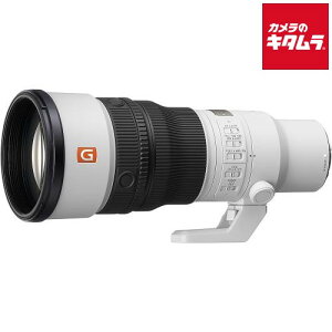 �\�j�[ FE 600mm F6.3 GM OSS [SEL600F63GM] �s2026�N10��9�������\�� �������ȍ~�̂��n���t