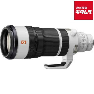 �\�j�[ FE 100-400mm F4.5 GM OSS [SEL100400MC] �s2026�N6��5�������\�� �������ɂ��n���t