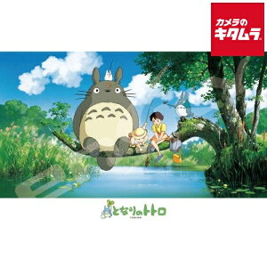 GXJC 300-408 ƂȂ̃gg WO\[pY300s[X Ȃɂނ邩? s[t
