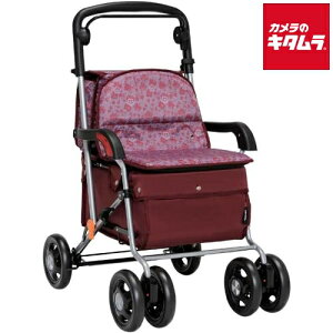 Ka쏊 SIST04 艟 JE[gII Cbh