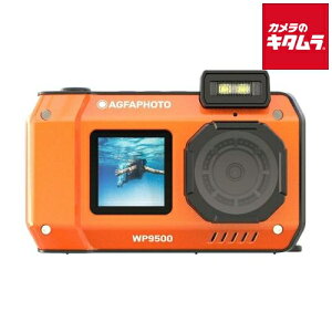 AGFA WP9500 OG hfW^J IW RpNgfW^J h RpNgfWJ