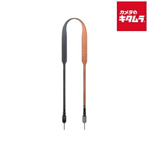 PGYTECH P-CB-286 JV_[Xgbv GA (eICg) LTCY