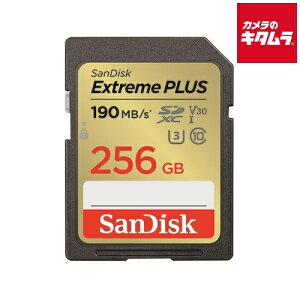 TfBXN Extreme PLUS SDXC UHS-IJ[h 256GB SDSDXWA-256G-JNJIP