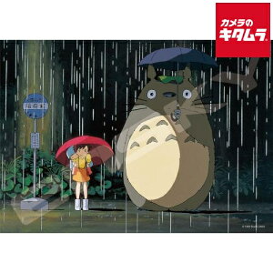 GXJC 108-607 ƂȂ̃gg WO\[pY108s[X J̃oX s[t