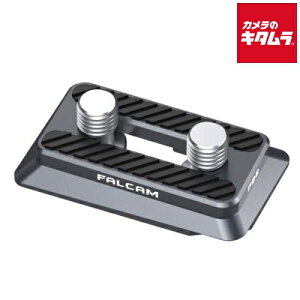 Falcam 2536 F22&F38�N�C�b�N�����[�X�v���[�g �s�[����1�����t