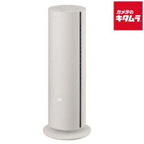楽天市場】ガスファンヒーター ナノイーの通販