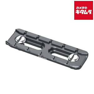 Falcam 2538 F22 5�_�N�C�b�N�����[�X�v���[�g �s�[����1�����t