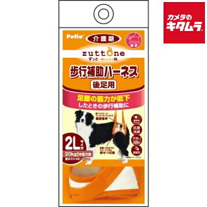 yeBI Vp s⏕n[lX 㑫pK 2L s[2Tԁt