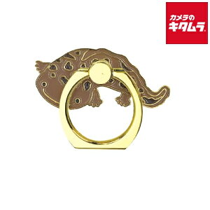 [h ANA`bN X}[gtHO IITVEEI s[t