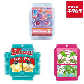 バンダイ 仮面ライダーガヴ DXライダーゴチゾウセット 新種発見！ ver.01