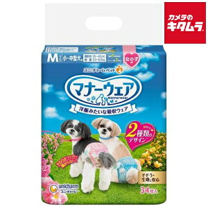 j`[ }i[EFA ̎qp MTCY sN{E{ 34 s[2Tԁt