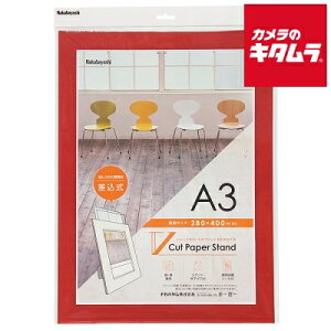 iJoV VPS-A3-R VJbgy[p[X^h  A3 bh