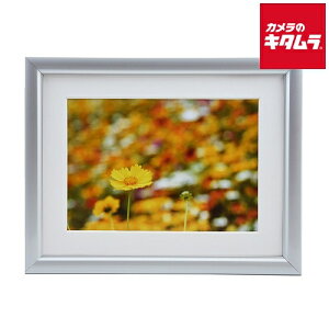 tWJ[ A~z A32 K 2L Vo[ s[1|2Tԁt