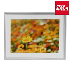 tWJ[ A~z A32 6 Vo[ s[1|2Tԁt