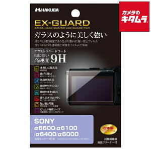 �y�l�R�|�X�z �n�N�o EXGF-SA6600 EX-GUARD �t���ی�t�B���� SONY ��6600/��6100�p
