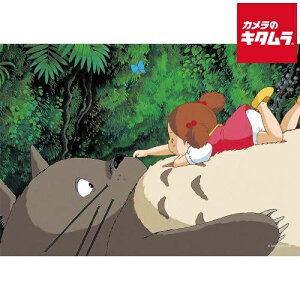 GXJC 108-608 ƂȂ̃gg WO\[pY108s[X gĝȂ̏ s[t