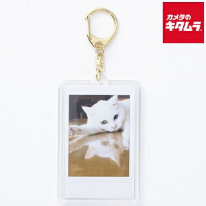 xmtC tHgL[z_[ `FL S[h