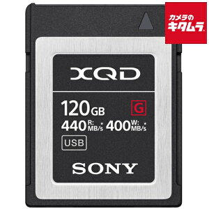 \j[ QD-G120F XQDJ[h 120GB s[t