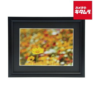 tWJ[ A~z A33 K 2L ubN s[1|2Tԁt