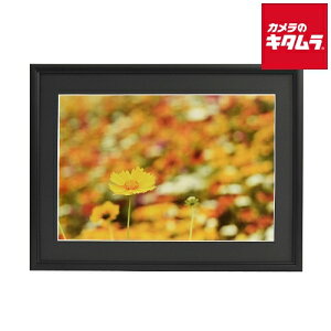 tWJ[ A~z A33 4 ubN s[1|2Tԁt