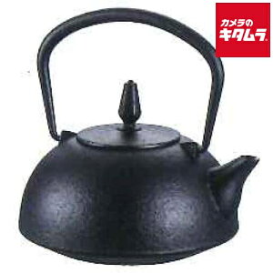 池永鉄工 南部鉄 急須 華(はる)