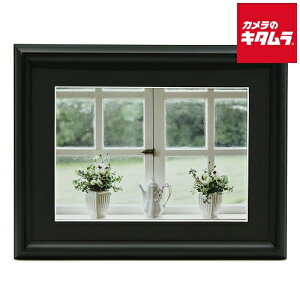 tWJ[ A~z YA-6 A4 ubN s[1|2Tԁt