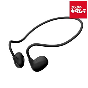 PGA �I�[�v���C���[ ���C�����X �X�e���I�C���z�� PG-BTE16AR1BK �u���b�N �s�[������t