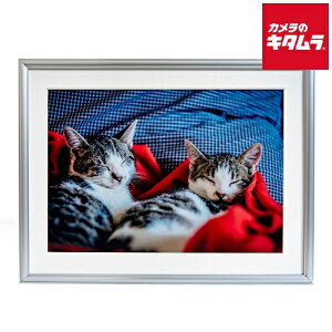 tWJ[ A~z A15 W6 s[1|2Tԁt