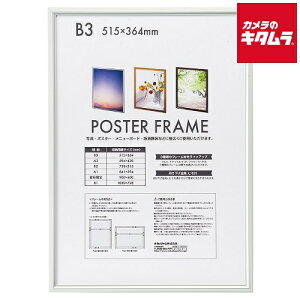 ナカバヤシ F-PFA-B3-S アルミ製ポスターフレーム B3判 シルバー